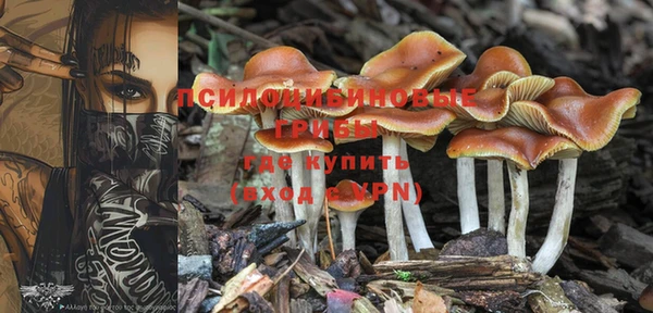 прущая мука Осинники