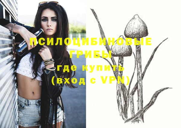 прущая мука Осинники