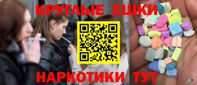 apvp Кингисепп