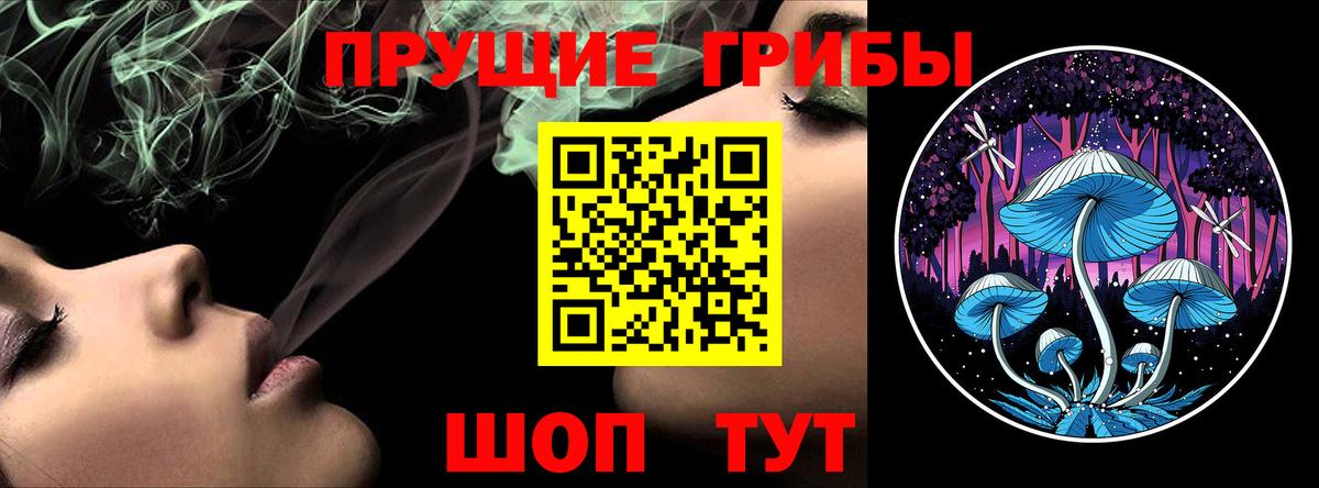 Псилоцибиновые грибы Psilocybe Полевской