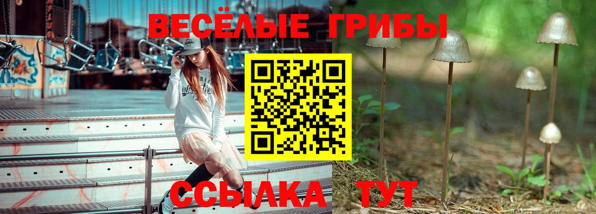 Псилоцибиновые грибы MAGIC MUSHROOMS  Вход с VPN  Полевской 