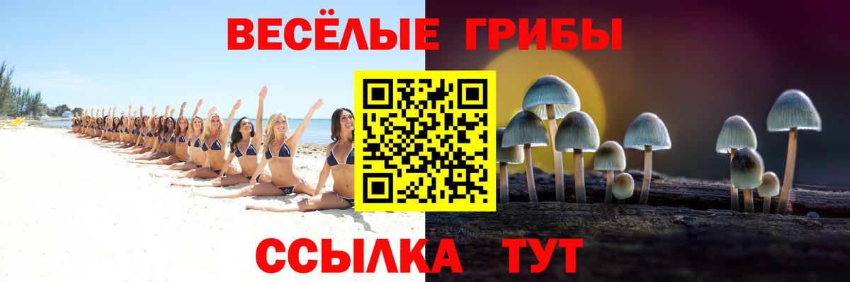 Галлюциногенные грибы Magic Shrooms Полевской